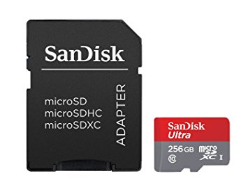 Sandisk image